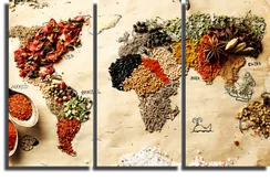 Модульная картина "Карта Специй Мира"
