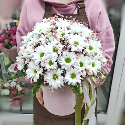 Шляпная коробка с хризантемой сорта "KENNEDY WHITE" и розовой гипсофилой