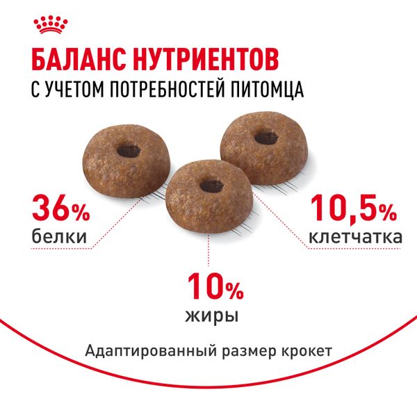 Сухой корм Royal Canin Light Weight Care для взрослых кошек для профилактики лишнего веса