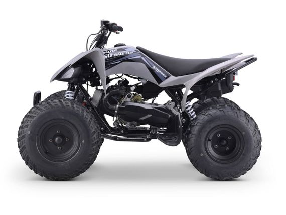 Квадроцикл SHARMAX Raizer Race Cup 250