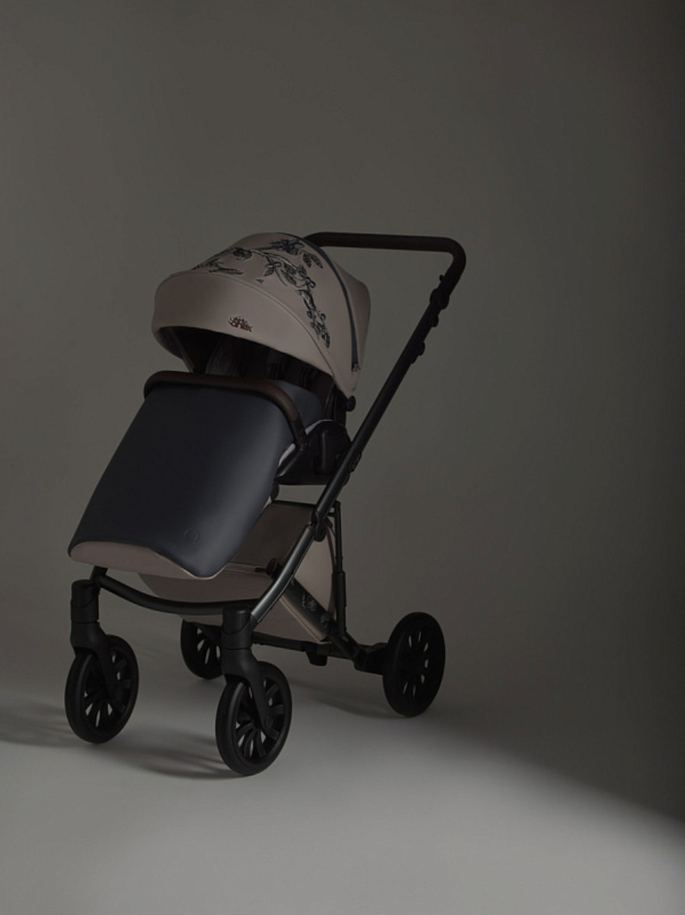 Детская коляска Anex e/type 2 в 1 eden
