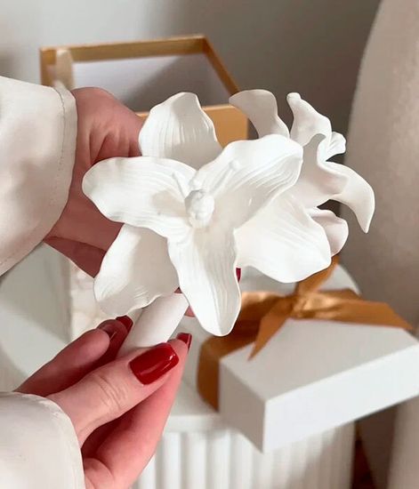 White Lily, ароматический диффузор с необычными палочками, Chando