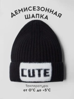 Шапка детская на осень бини