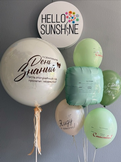 Набор шаров на 1 сентября #5