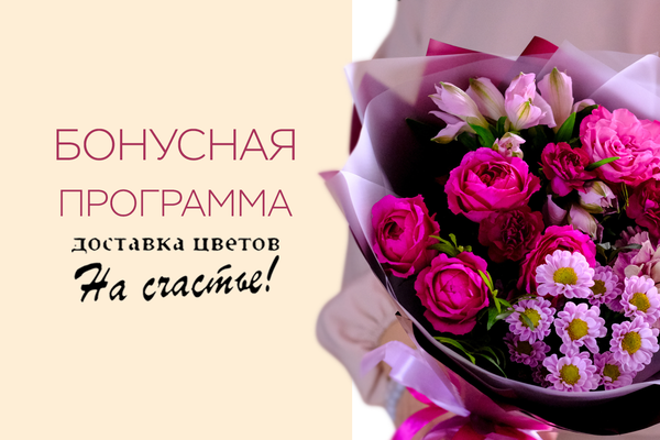 Бонусная программа Бонусная программа