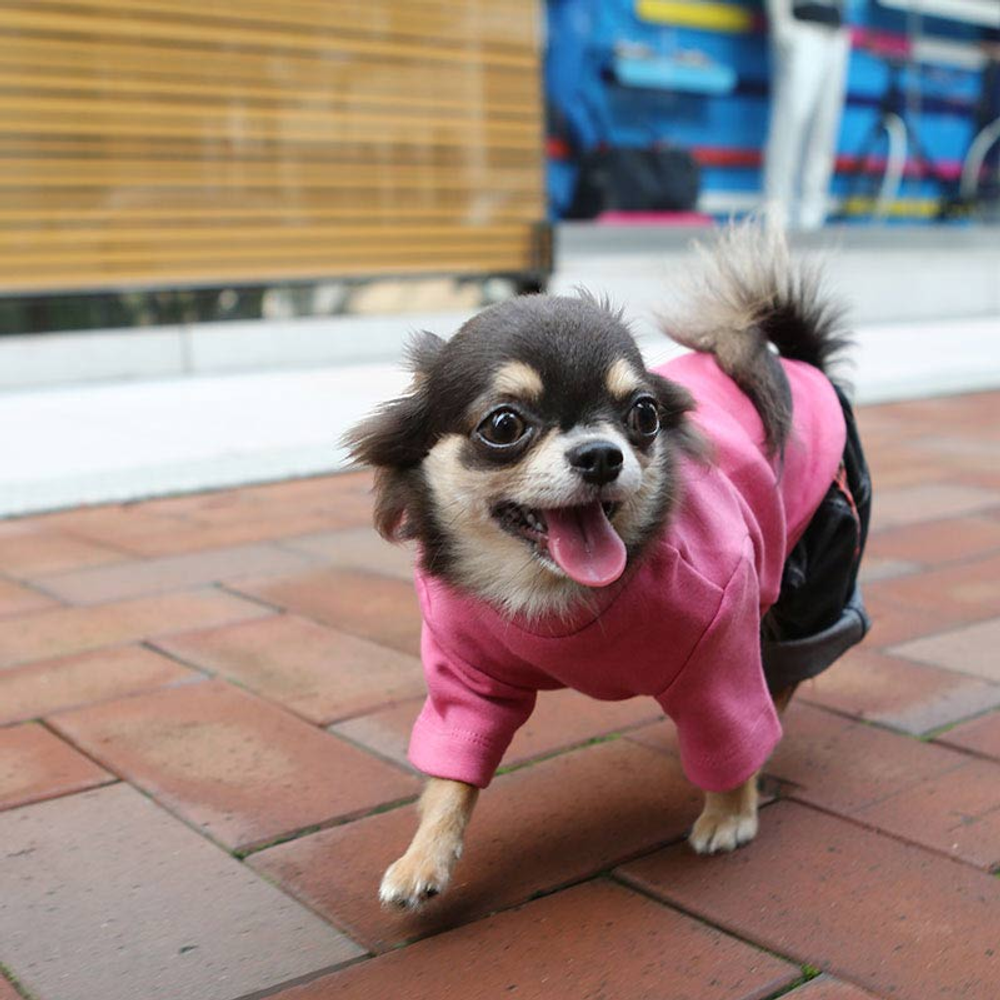 269 Водолазка для собак однотонная, с микро начесиком "Cozy T-shirt Puppy Angel"