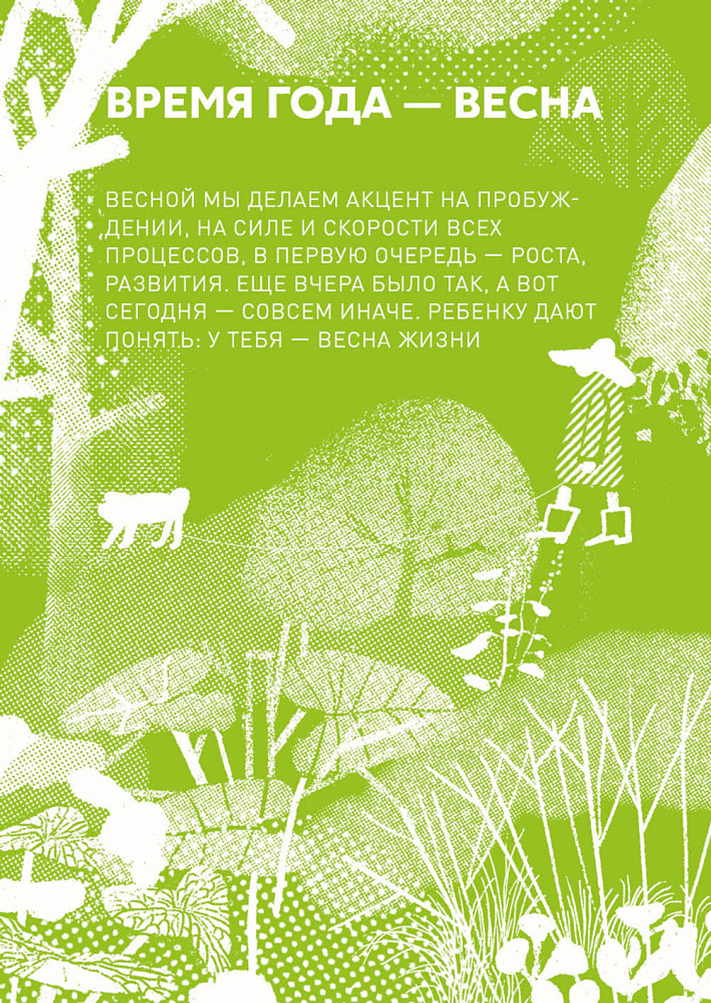 Пойдем гулять!