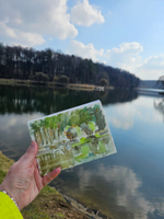 Картина авторская акварельная в паспарту 21х30 см на стену для интерьера "Верхний Царицынский пруд"