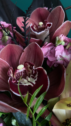 Притязание