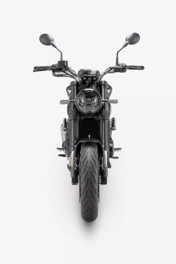 Benelli LEONCINO 500