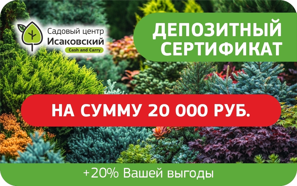 Депозитный сертификат