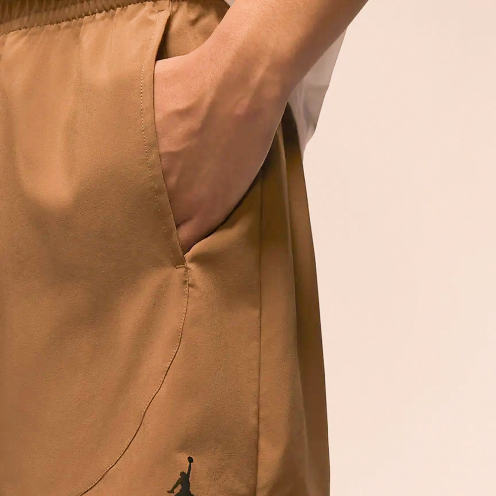 Шорты Jordan Dri-FIT Sport logo, FN5843-223