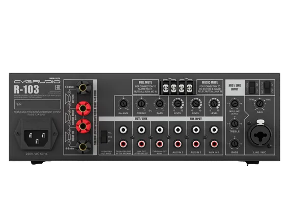 CVGAUDIO R-103