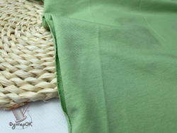 Футер 2-н петля ФИСТАШКА