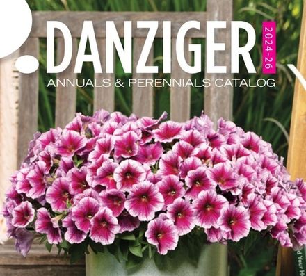 ЕВРО Danziger