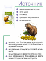 Живица кедровая на кедровом масле с бобровой струёй  240 капсул