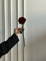 Роза кудрявая красная одноголовая