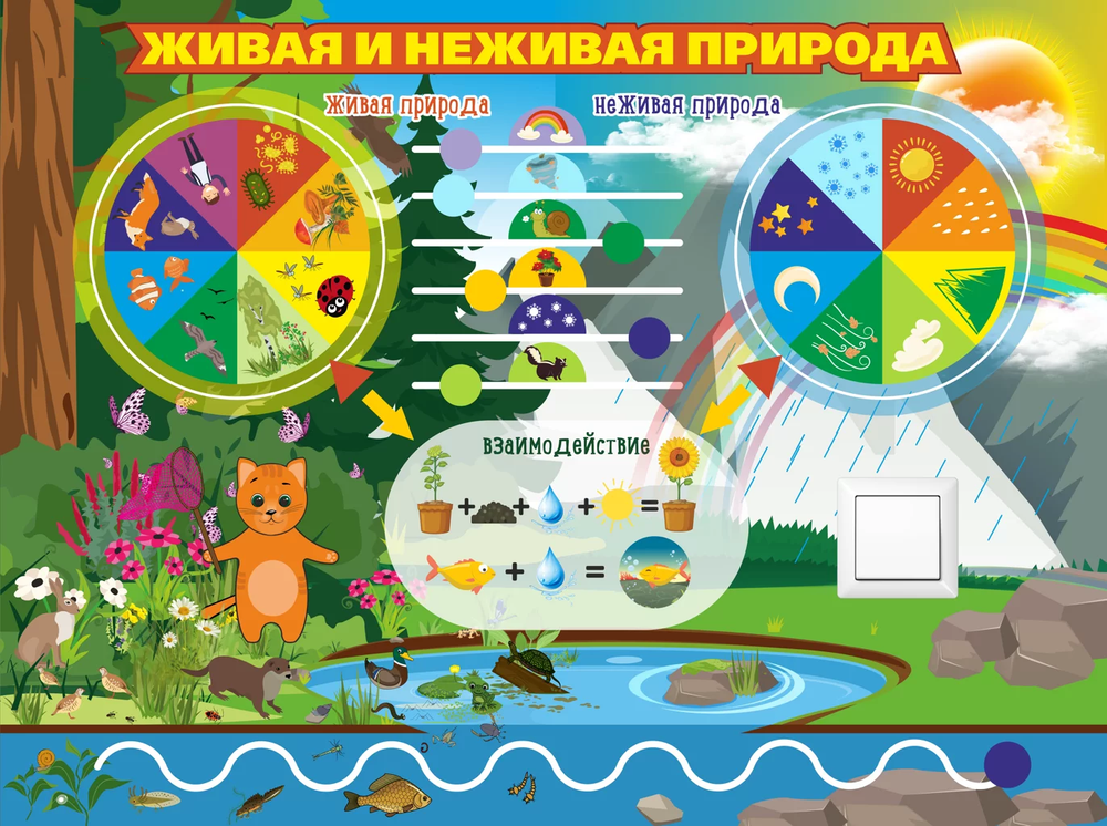 Уличный бизиборд Живая-неживая природа