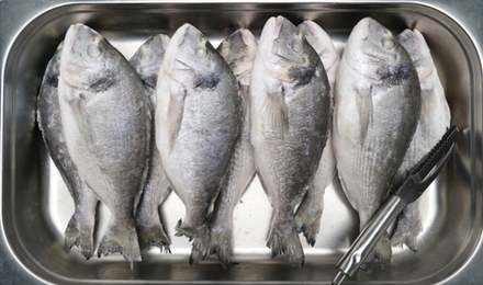 Дорадо н/р 300-400; 400-600 вес, цена за 1кг