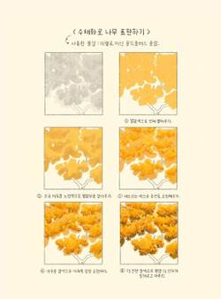 Where SiHyun's gaze stays. Coloring Book