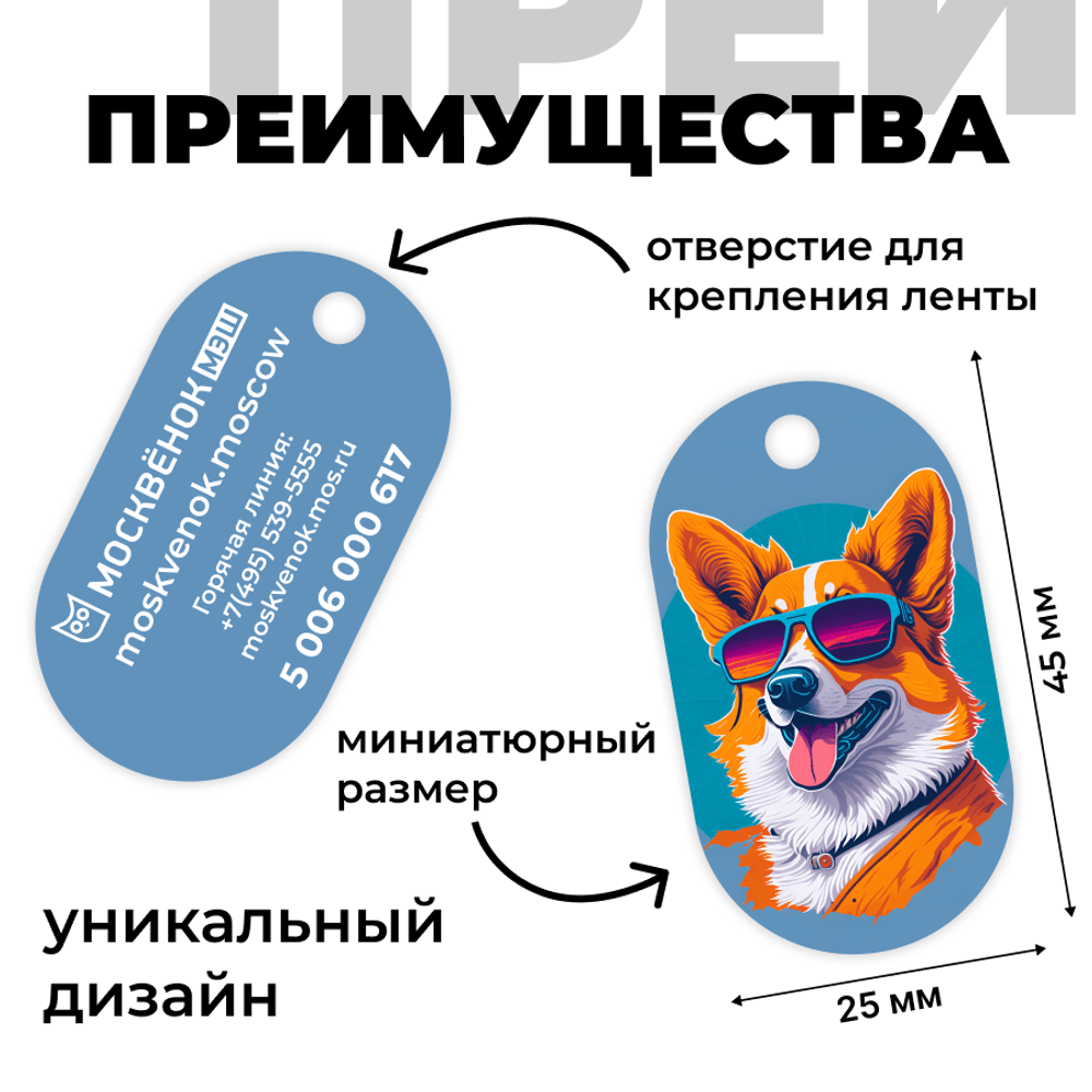 Брелок Москвёнок ART №7 (проход + питание)