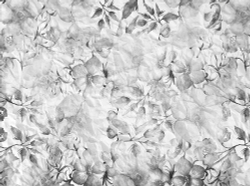 Коллекция FLOREALE