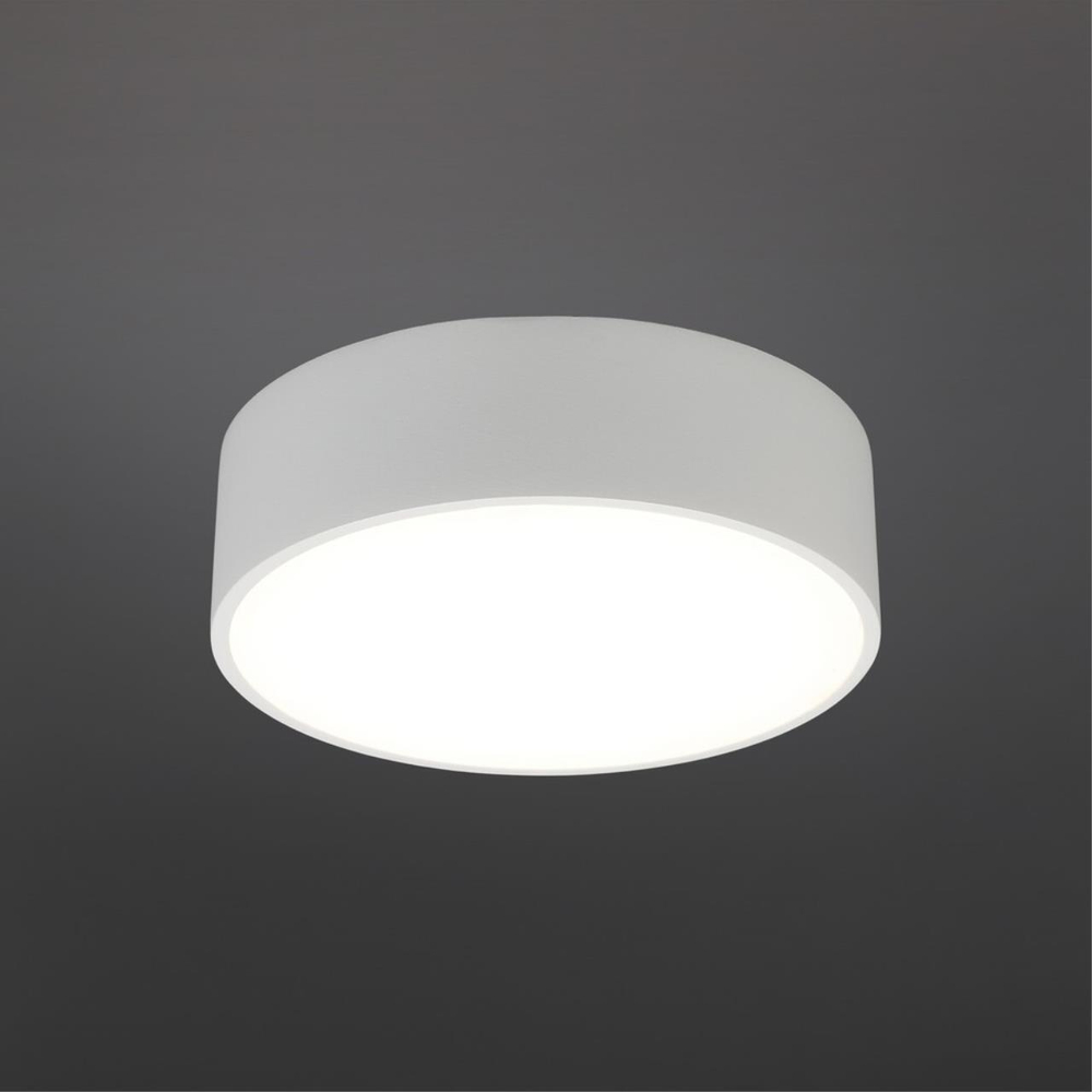 Потолочный светодиодный светильник Aployt Evon APL.0114.09.12