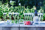 Набор для prosecco, 5 пред.