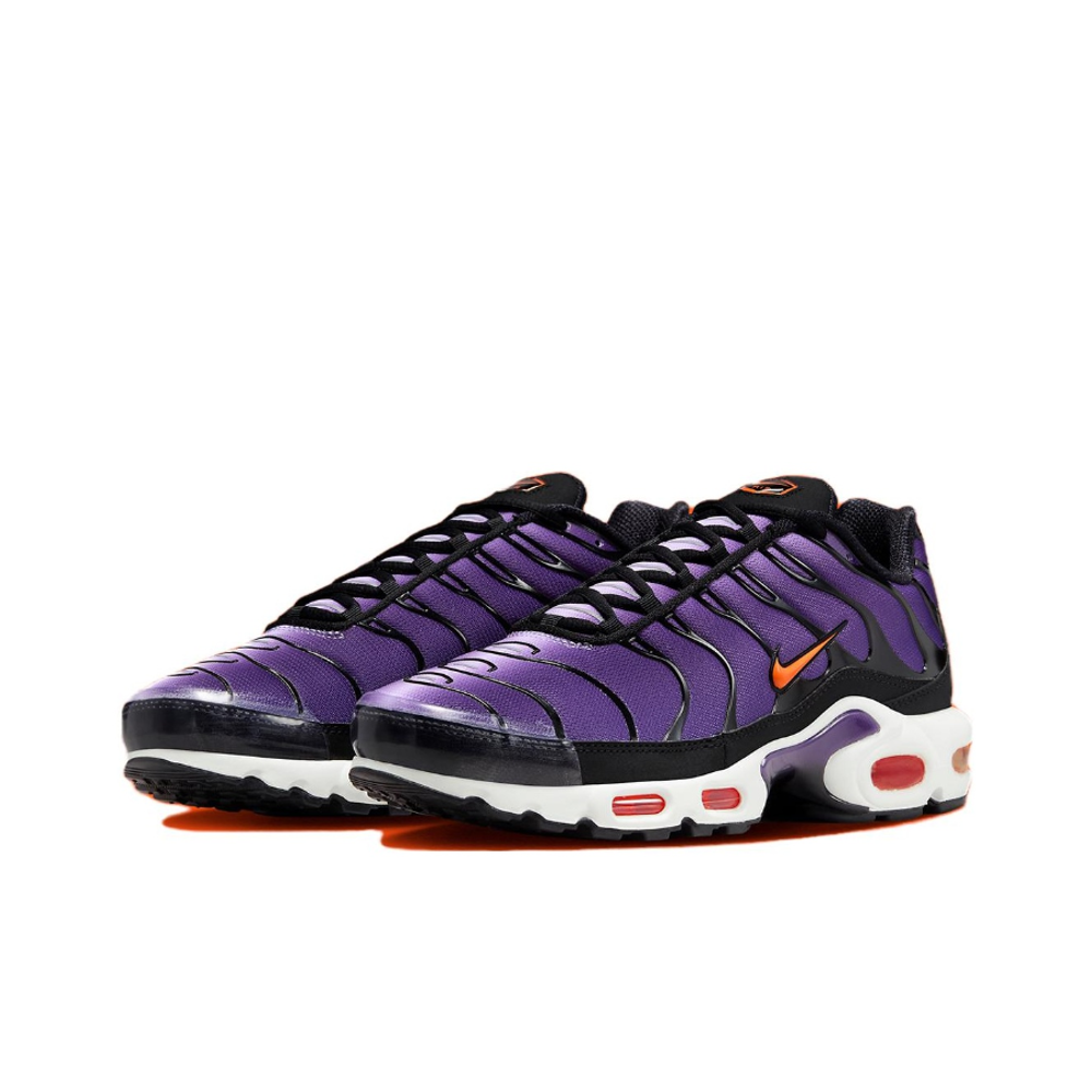 Мужские кроссовки Nike Air Max Plus OG 'Voltage Purple' DX0755‑500