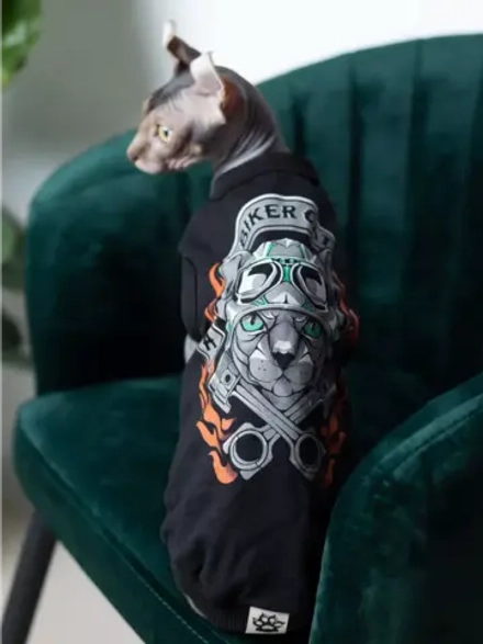 Одежда для кошек сфинкс