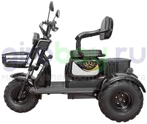 Электротрицикл IKINGI SIBTRIKE T3 Pro MAX 1000W (60V/30Ah) - Чёрный фото №8