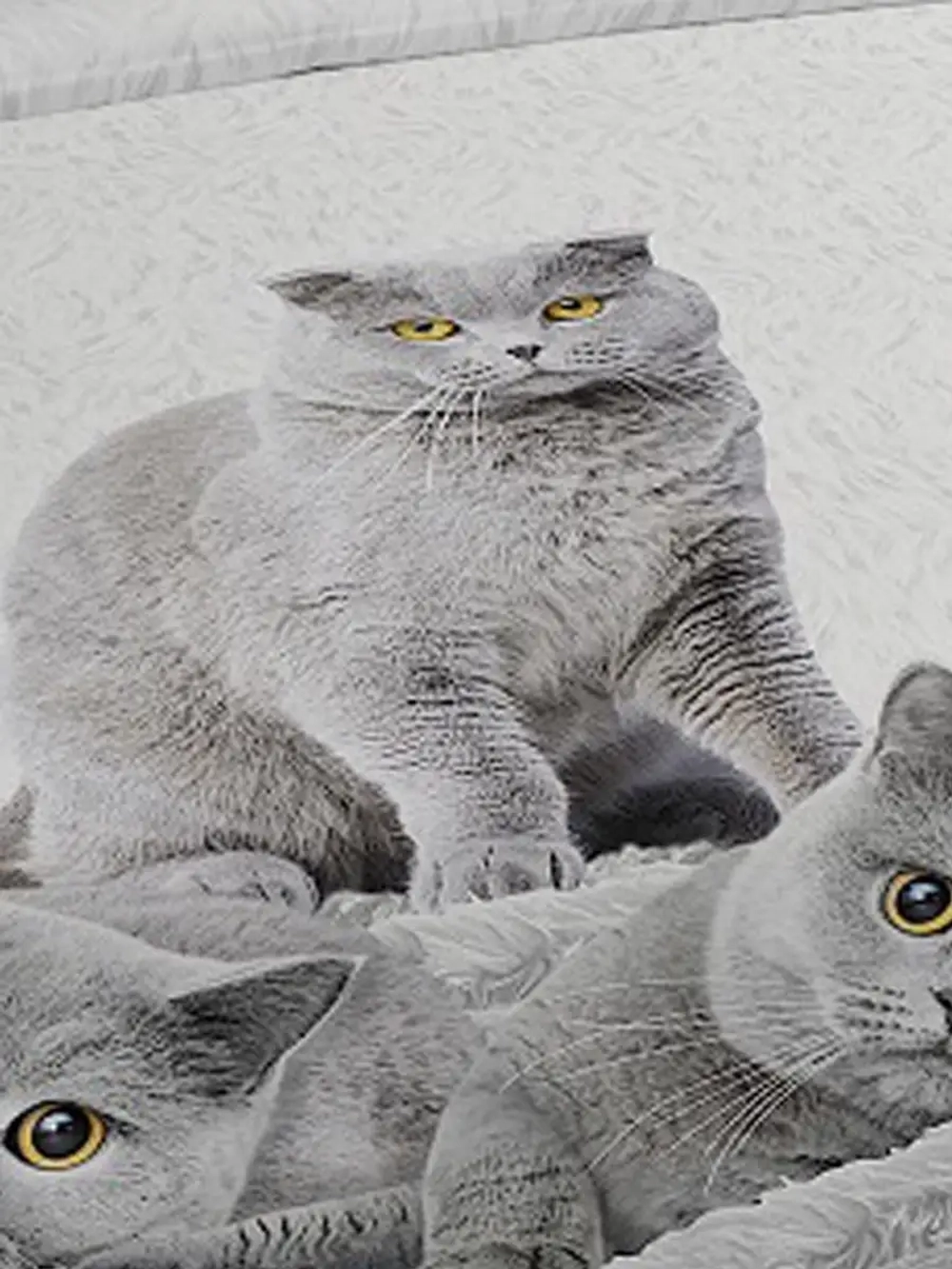 1,5 спальное постельное белье