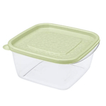 Контейнер "арт-декор" 1л (зеленый)