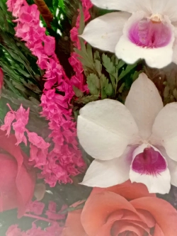 натуральные цветы в стекле, вакуум