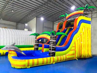 Водная горка «Волна дельфина» с бассейном, 8×3,3×5,4 м