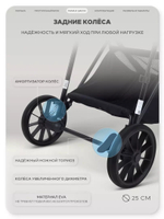 Коляска трансформер Rant Basic Ventura Green