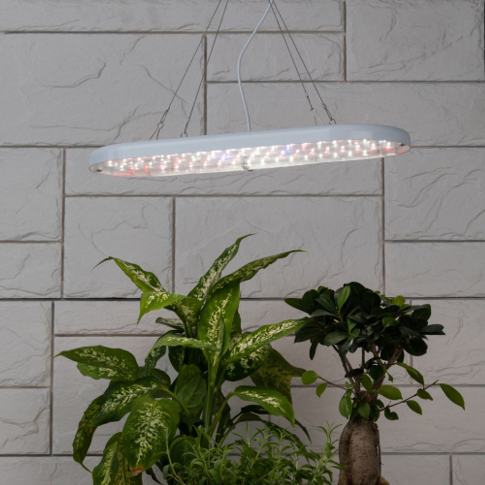 Кронштейн для ламп и светильников ЭРА FITO-сabel-rope металлический подвес