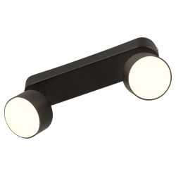 Светильник настенно-потолочный спот Rivoli Alesta 7079-702 2хGX53 15 Вт поворотный | Rivoli