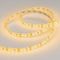 Светодиодная влагозащищенная лента Arlight 9,6W/m 120LED/m 2835SMD желтый 5M 014883(2)