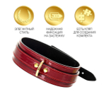 Красный ошейник 41см из лакированного материала ToyFa Theatre 703007