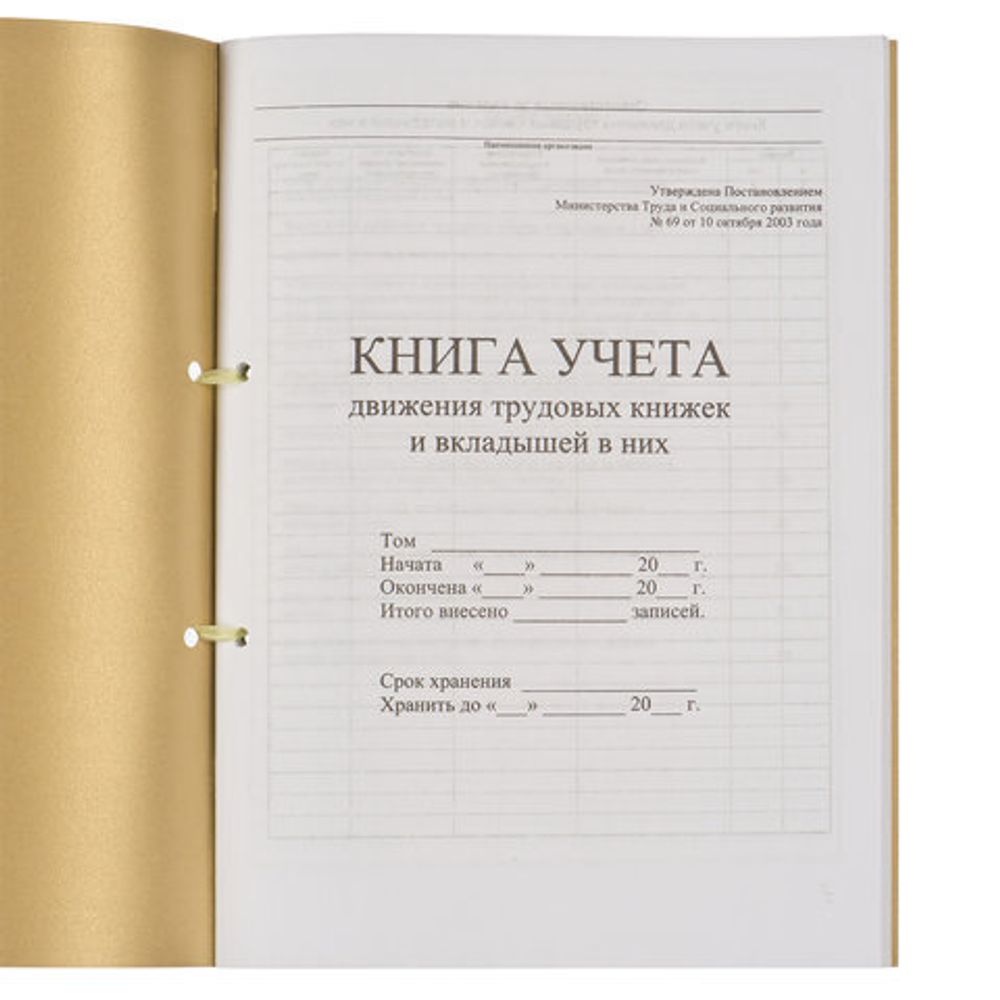 Книга учета движения трудовых книжек и вкладышей к ним, 32 л., сшивка, плобма, обложка ПВХ, 130203