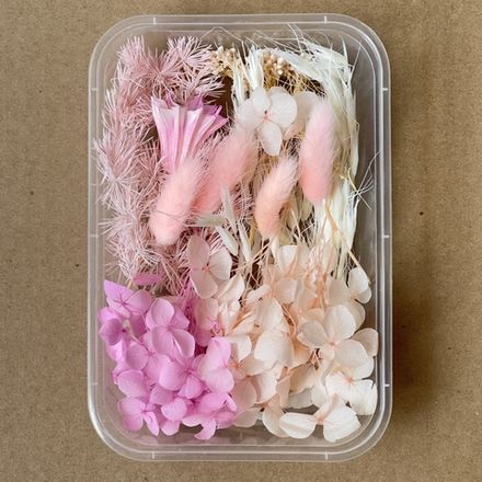 Сухоцветы набор №14