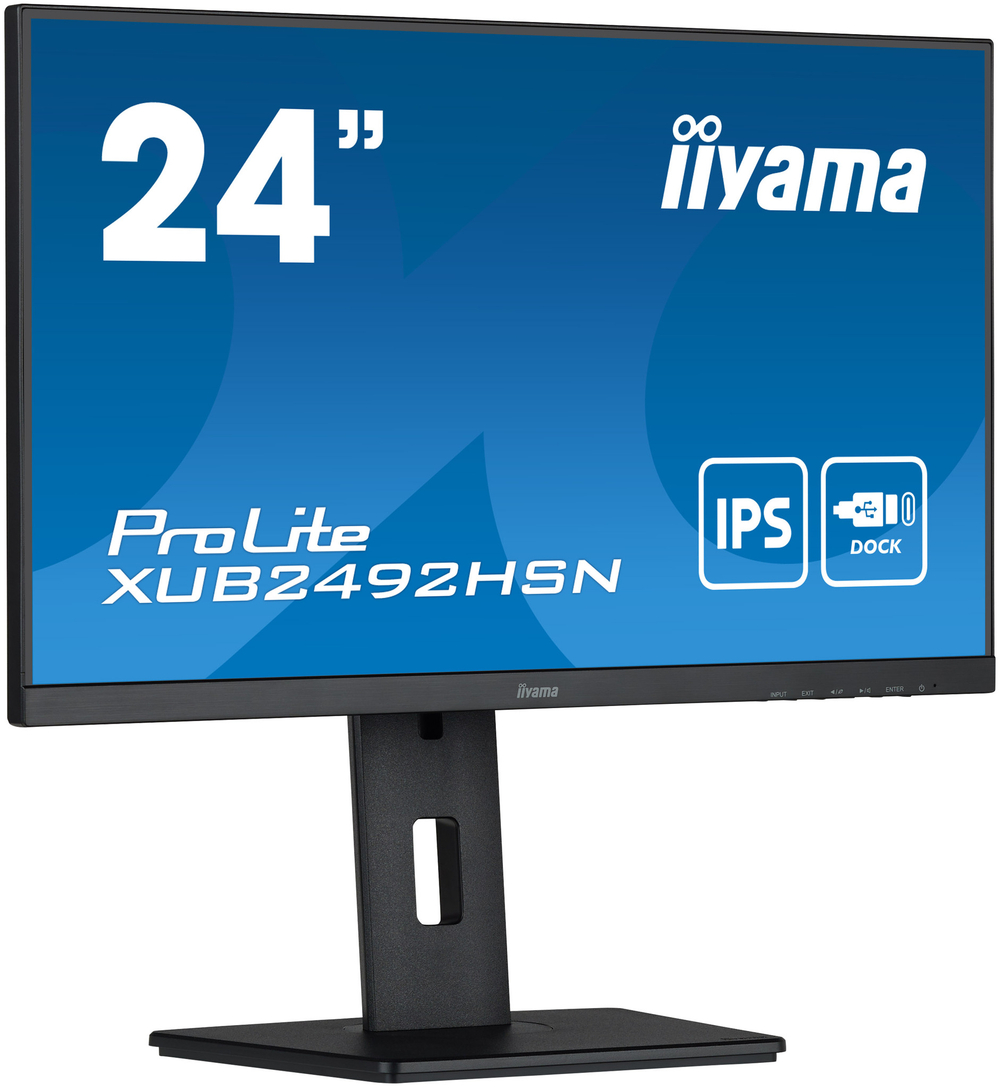 Монитор 23,8" Iiyama ProLite XUB2492HSN-B5