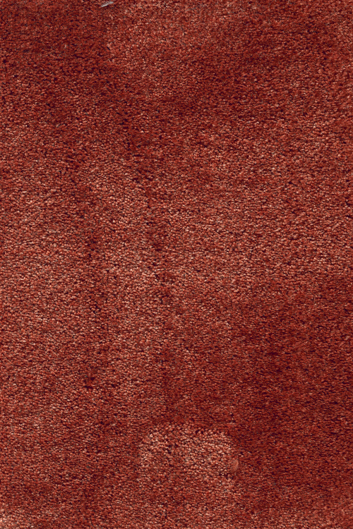 Ковровое покрытие AW Leda 84