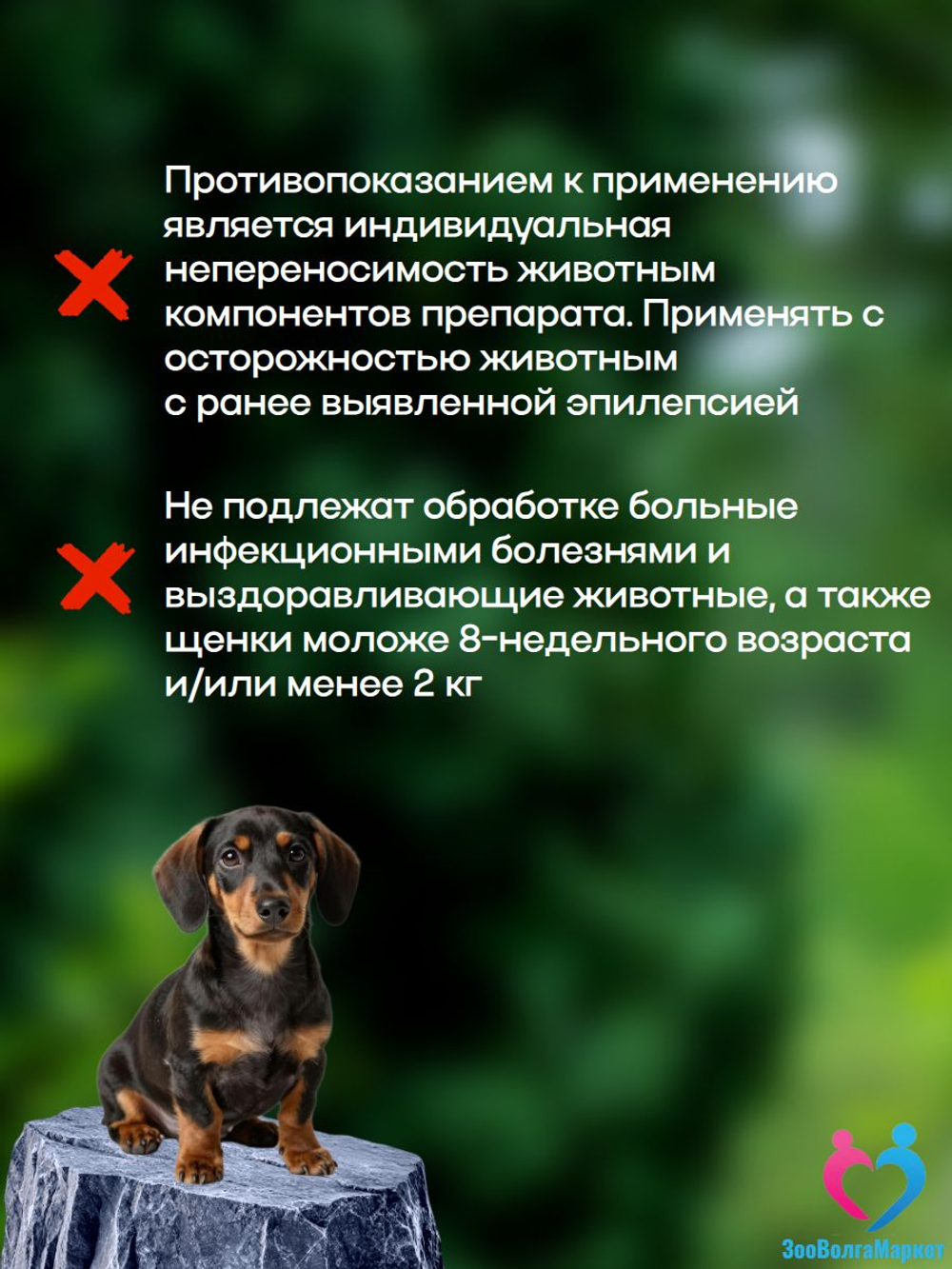 Рабектра 500 мг жевательная таблетка против блох и клещей для собак весом 10-20 кг, 1 таблетка