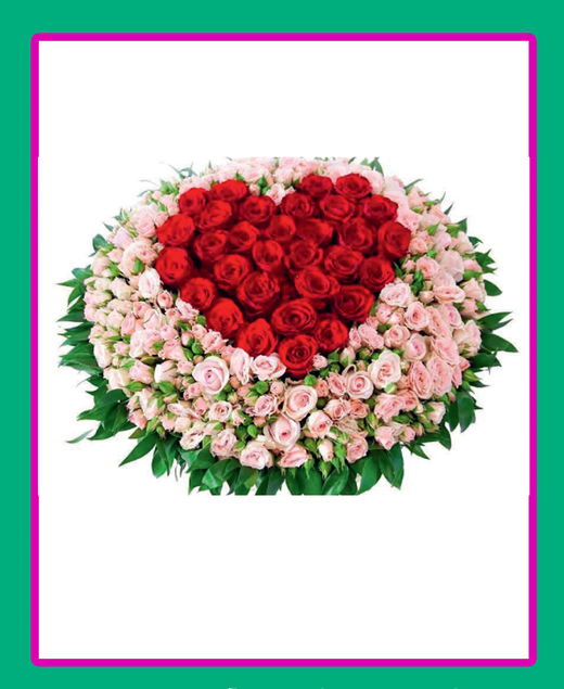 Особые цветы в Шарм-Эш-Шейхе