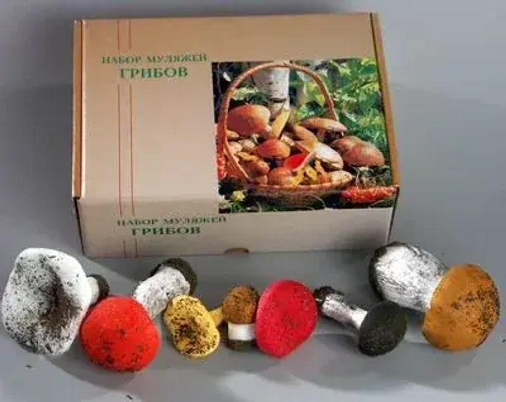 Комплект муляжей демонстрационный, включающий в том числе набор муляжей грибов, овощей и фруктов