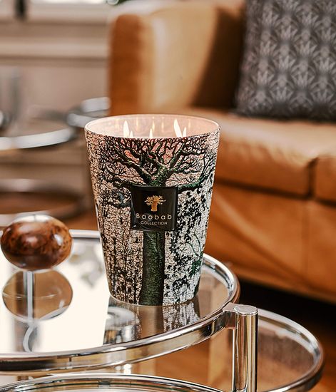 Kani, свеча MAX 35 Sacred Trees collection, Baobab Collection