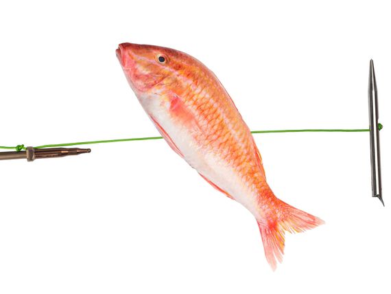 Наконечник разделяющийся Salvimar Slip-tip 2023