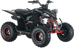 Квадроцикл MIKILON Rapide 125S